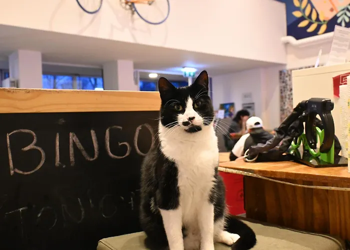 Dutchies Amesterdão