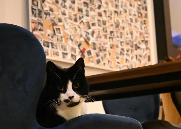 Dutchies Hostel Amsterdam