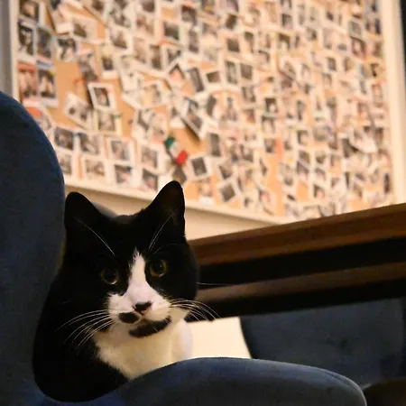 荷兰旅馆 旅馆 阿姆斯特丹